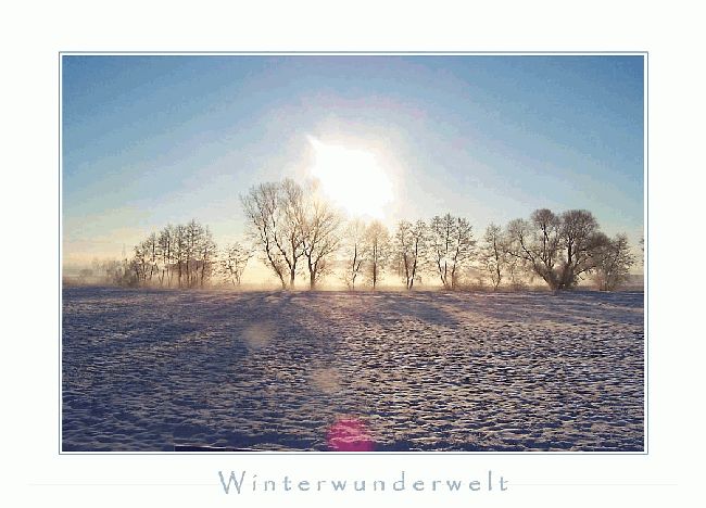 Bild, Winterwunderwelt
